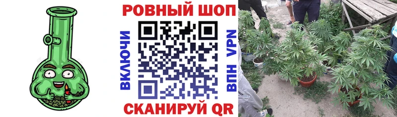 Где купить Нефтегорск Alpha-PVP Конопля Мефедрон МДМА КОКАИН ГАШ