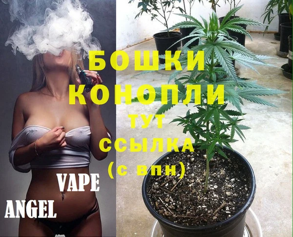 круглые Аркадак
