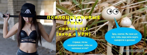 круглые Аркадак