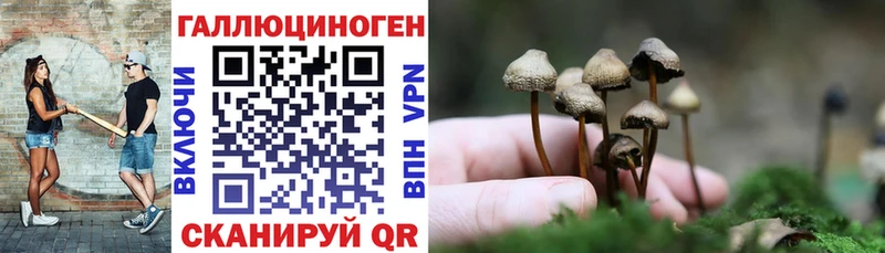 Псилоцибиновые грибы Magic Shrooms  купить   Нефтегорск 
